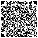 QR code with Cyber City Electronics Inc contacts