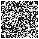 QR code with Central New York Ddso contacts