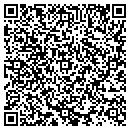 QR code with Central New York Dso contacts