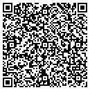 QR code with Carl's Furniture Inc contacts