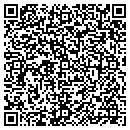 QR code with Public Storage contacts