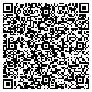 QR code with Professinal Satellites Inc contacts