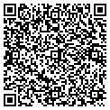QR code with Accel contacts