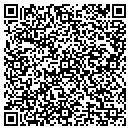 QR code with City Driving School contacts