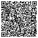 QR code with Bcdm contacts
