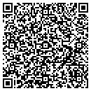 QR code with Psi Mini Storage contacts