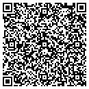 QR code with Professional Vacuum contacts