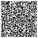QR code with Price Ringgold Drug contacts
