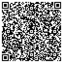 QR code with Premier Communication contacts