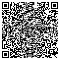 QR code with Antons contacts