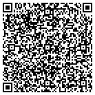 QR code with Baby Otter Swim School contacts