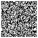 QR code with Bfi Native Seeds LLC contacts