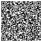 QR code with C's Detail And Stereo Work contacts