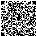 QR code with Priority One contacts