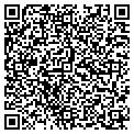QR code with Signal contacts