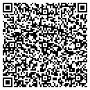 QR code with Blr Properties LLC contacts