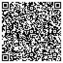 QR code with Precision Car Audio contacts
