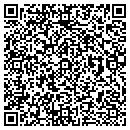 QR code with Pro Info Net contacts