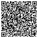 QR code with B Plus contacts