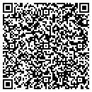 QR code with Steimel & Steimel LLC contacts