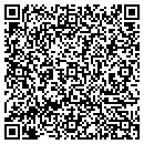QR code with Punk Rock Bride contacts