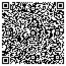 QR code with Borealis Inn contacts