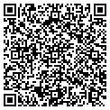 QR code with Downtown Video contacts