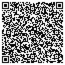 QR code with Puzzlewood Inc contacts