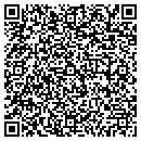 QR code with Curmudgeonalia contacts