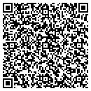 QR code with Public Record Service contacts