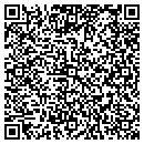 QR code with Psyko South Records contacts