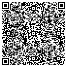 QR code with Pulp Sonic Records LLC contacts