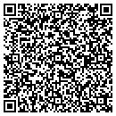 QR code with Professional Tailor contacts