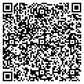 QR code with Solid contacts