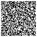 QR code with Process Chemicals contacts