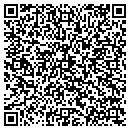 QR code with Psyc Records contacts