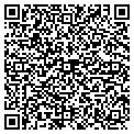 QR code with Aarins Environment contacts