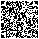 QR code with Pub 44 contacts