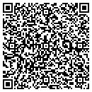 QR code with Publishing Desisions contacts