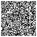 QR code with City Of David Records contacts