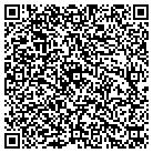 QR code with Pull-N-Save Auto Parts contacts