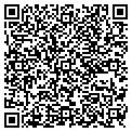 QR code with Fewerr contacts