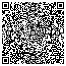 QR code with Public Storage contacts