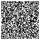 QR code with Casson Consulting Inc contacts