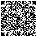 QR code with Curtin Mini Storage contacts