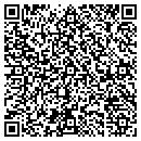 QR code with Bitstorm Systems LLC contacts