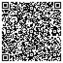 QR code with Carefree Self Storage contacts