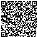 QR code with Bloom contacts