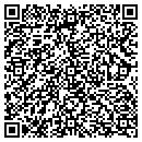 QR code with Public Record Data LLC contacts