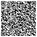 QR code with Public Storage contacts